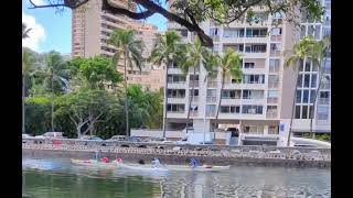 outrigger canoe paddlers pass by on the canal [upl. by Gui187]