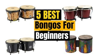 5 Best Bongos For Beginners of 2024 Updated [upl. by Cottle]