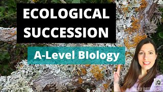 Ecological Succession Alevel biology Primary amp secondary succession ampeach seral stage explained [upl. by Aliuqet]