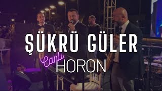 EFSANE HORON  ŞÜKRÜ GÜLER  CANLI DÜĞÜN 2021 [upl. by Aeynod]