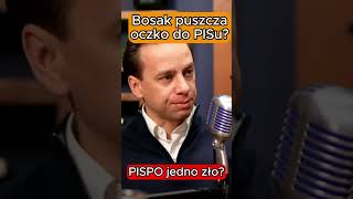 Bosak puszcza oczko do PISu [upl. by Ednalrim]