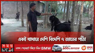 রাজবাড়ীর সবচেয়ে বড় পাঁঠার খামার মফিদুলের  Rajbari  Goat Farm  Somoy TV [upl. by Valenba]