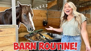 MY HORSES SUMMER NIGHT ROUTINE  BARN ROUTINE [upl. by Rosenblatt]