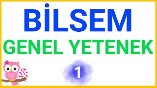 Bilsem Sınavı 2023  Soru Çözümü  1 2 ve 3 Sınıf  1 [upl. by Fadil]