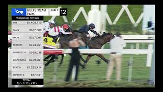 012724  Gulfstream Park Race 12 Pegasus World Cup Turf Warm Heart New Track Record [upl. by Naujyt566]