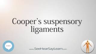 Coopers suspensory ligaments Anatomy Named After People 🔊 [upl. by Sanbo872]