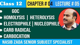 HomolysisHeterolysis ElectrophileNucleophileCarbradicalCarbocationCarbanion NASIBZADASSS [upl. by Saberhagen]