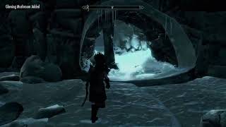 Skyrim  Infinite Gold Dupe Glitch Exploit  Sightless Pit [upl. by Eirffej203]