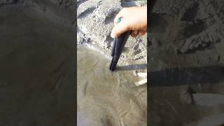 Found METAL COIN with the help of METAL DETECTOR metal metaldetector shorts [upl. by Wesley]