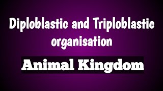 Diploblastic and triploblastic organisation  animal kingdom  class 11 Biology [upl. by Airdnahc]