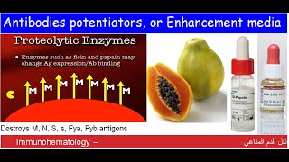 Lecture 115 Antibodies potentiators or Enhancement media [upl. by Poll567]