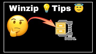 winzip booking Tips💡  winzip se tickets fast booking  whatsApp👉9310737531 lowest price [upl. by Glynis109]