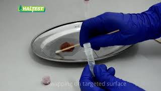 HALTEST Dipstick Test – Surface Swab Instruction Video [upl. by Effy988]