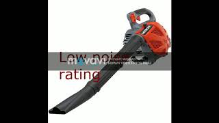 Tanaka Leaf Blower Vacuum Review 2018 [upl. by Maurey]