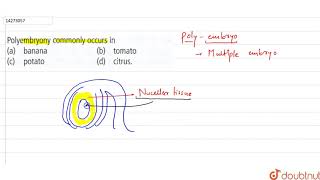 Polyembryony commonly occurs in [upl. by Yboj277]