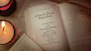 Anson Seabra  A Heart Is a Terrible Thing to Break Full Album Mix [upl. by Marchal]