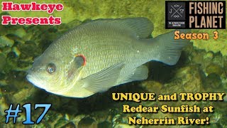 Fishing Planet  17  S3  Unique and Trophy Redear Sunfish at Neherrin River [upl. by Asseral]