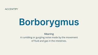 Borborygmus Pronunciation and Meaning [upl. by Enaled]