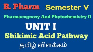 Shikimic Acid Pathway Tamil Explanation [upl. by Defant536]