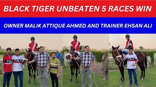 Black Tiger  Trainer Ehsan ali  Owner Malik Attique Ahmad  Ai news  Tahir Saleem [upl. by Appolonia]