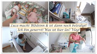 Luca macht Blödsinn amp ist dann noch beleidigt Vlog Reborn Baby Deutsch  Little Reborn Nursery [upl. by Egbert]