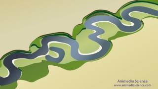 Stream Meanders and Floodplain Formation [upl. by Manup962]