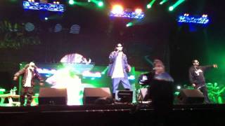 Snoop Dogg  Smoke Weed Everyday live at Lovebox [upl. by Woodman]