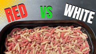 Is There A Difference Between Red and White Maggots [upl. by Chemosh]