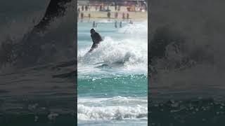 Bondi Surfing Sydney Part 3 [upl. by Allissa]