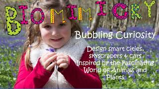 You Tube Biomimicry for Young Children Architecture and Design mp4 [upl. by Adnopoz]