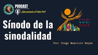 Ep 79 Sínodo de la sinodalidad [upl. by Eenttirb]