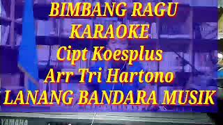 JANGAN BIMBANG amp RAGUKARAOKETri HartonoLANANG BANDARANEO JIBLES [upl. by Adyaj215]