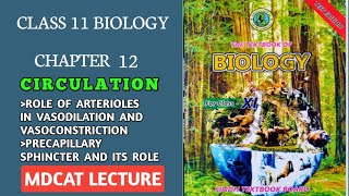 ROLE OF ARTERIOLE AND PRE CAPILLARY SPHINCTER IN VASOCONSTRICTION AND VASODILATION  11 BOLOGY [upl. by Suoivatco]