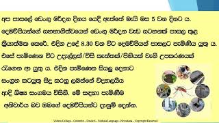 Grade 4 Sinhala 1st Term 20 නිවේදන [upl. by Fidellia]