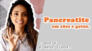 PANCREATITE EM CÃES E GATOS O QUE É E SEUS TIPOS [upl. by Durkin]