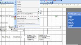 Informes en Access  Ficha de Pacientes [upl. by Eilyab]