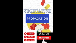 vegetative propagationWhat do you mean by graftingcloningreproduction propagationtissue [upl. by Lraed]