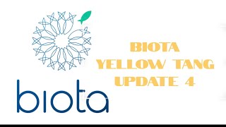 Biota Yellow Tang Update  Day 4  Acclimation amp Feeding [upl. by Reifnnej]