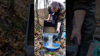 Real Gold Found Gold Panning in a Mountain Stream During Autumn GoldPanning [upl. by Lovel]