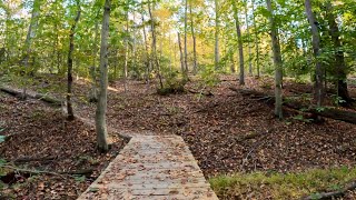 Hiking Dogue Trail and Meadow View Trail at Mason Neck State Park VA [upl. by Zaneta]