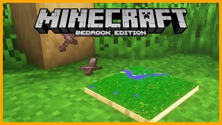 🟨 HOW TO HAVE an INVISIBLE FRAME in MINECRAFT BEDROCK MCPE PC PS4 Win10 PE [upl. by Anderea607]