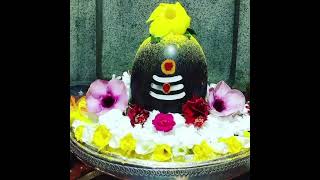 Kashinath mandirsong dj music merabholahaibhandari mahadev bholeparvatisong love [upl. by Yemar50]