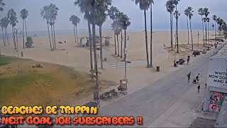 Venice Beach Webcam  Venice Beach Live Cam  venice beach live boardwalk cam [upl. by Shaikh]