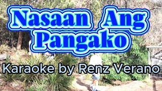 Nasaan Ang Pangako Karaoke by Renz Verano [upl. by Yrogerg27]