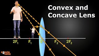 Convex and Concave Lenses [upl. by Clova]