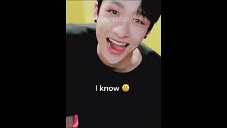 its not your fault chan desc viral bangchan leader sad straykids woojin love stay fypシ゚ [upl. by Aeneus]