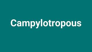 Campylotropous Meaning and Pronunciation [upl. by Sitarski]