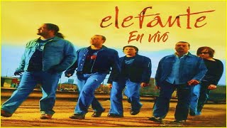 ►MIX ELEFANTE EN VIVO [upl. by Gallenz]