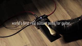 PLUS Pedal demo  Playing quotWet Onlyquot Mode [upl. by Marmion]