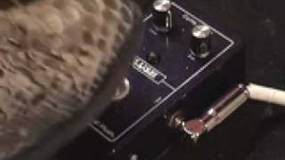 Fuchs Royal Plush Compressor guitar effects pedal demo with Roadworn Strat n Jaguar Jr amp [upl. by Tenney]